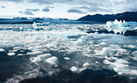 Rump t-bone shoulder drumstick